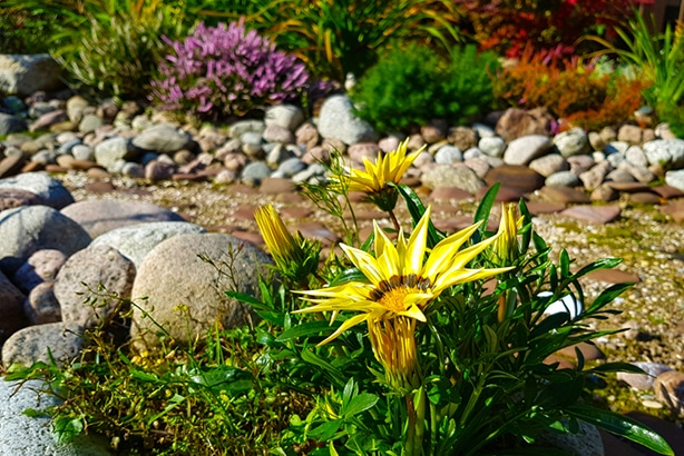 Rain garden or creek beds are beautiful design ideas to fix water issues.