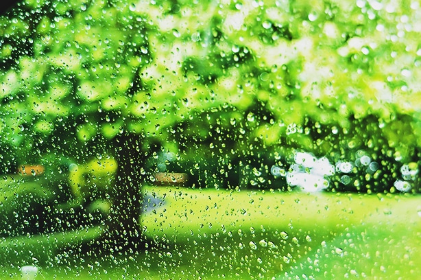 Raining on the lawn will eventually cause puddle that need to be removed.