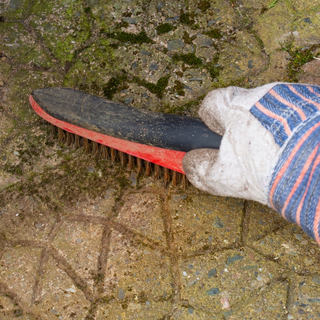 Scrubbing away at moss and brushing away the debris