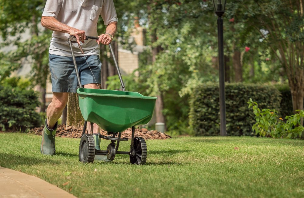 A man pushing a spreader to spread seeds on his patchy lawn