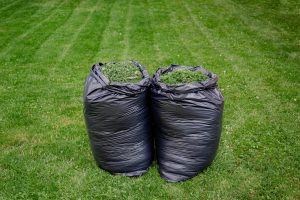 Two garbage bags full of grass clippings are sitting on a freshly mowed lawn.