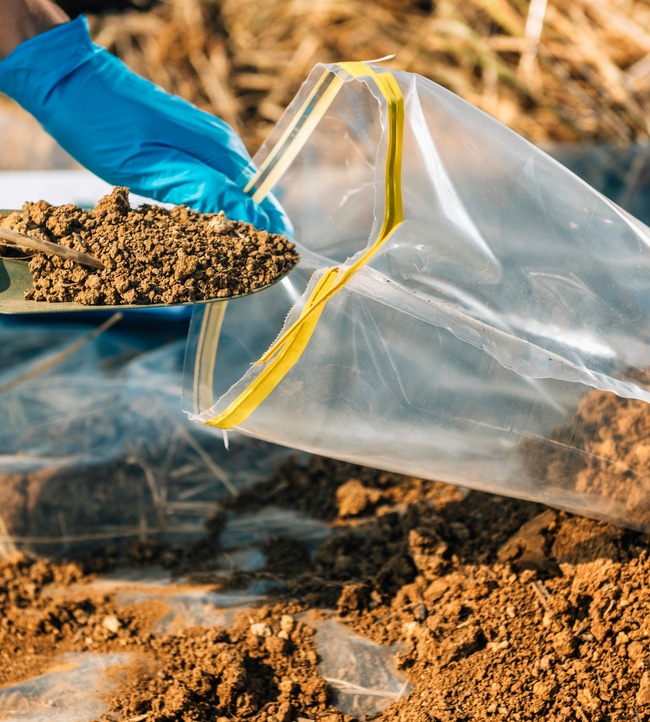 Sending sample of soil into testing is important for proper soil parameters