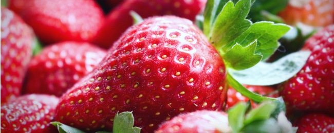 A guide to properly harvest and store strawberries