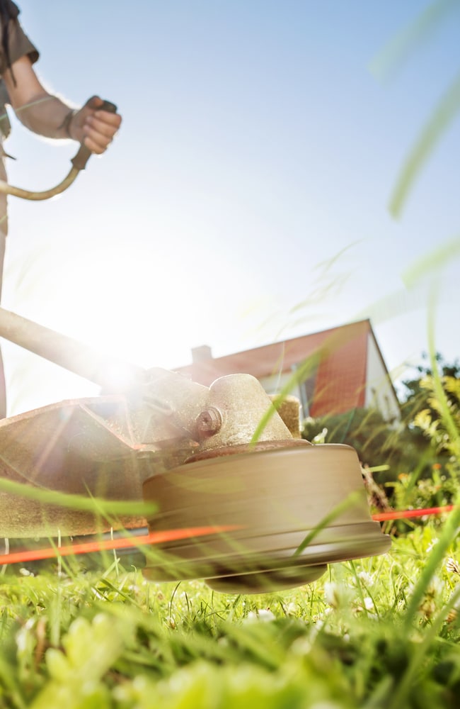 String trimmer whacking away at underbrush