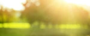 Knowing where to situate your plants is vital to healthy growth