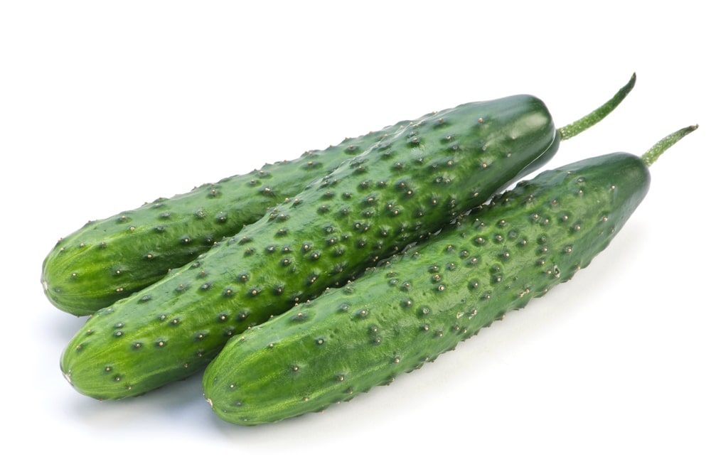 Suyo long cucumbers with its dark green and warty appearance