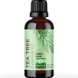 Tea tree oil can scare away ants