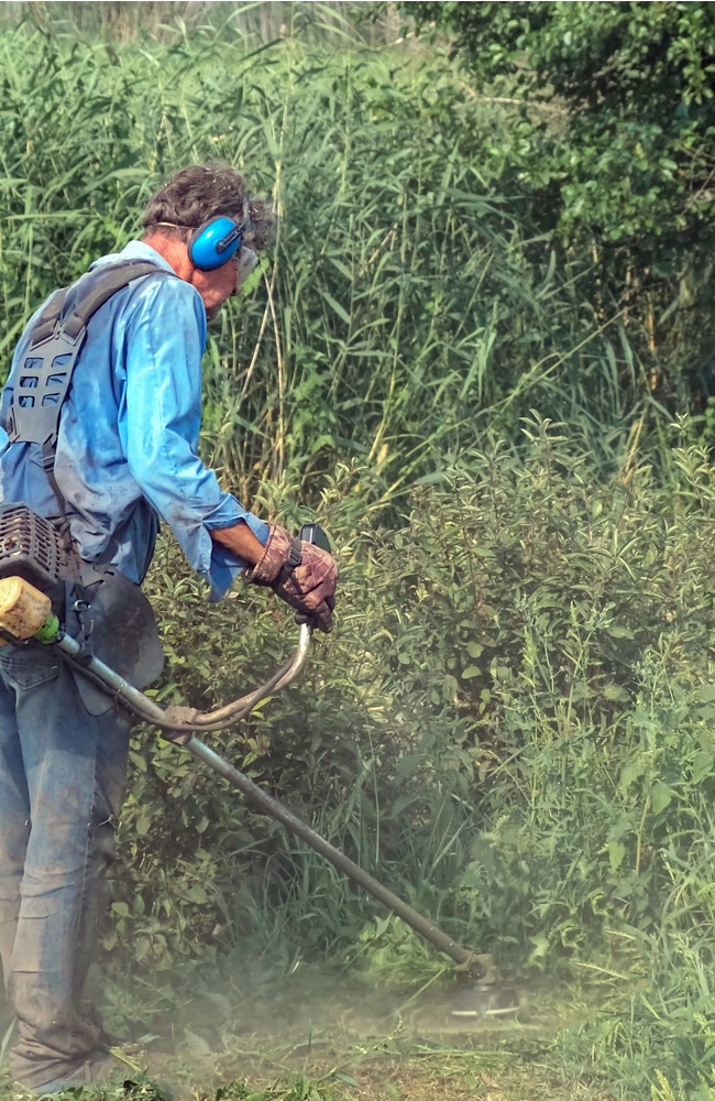 Trimmer easily gets rid of underbrush