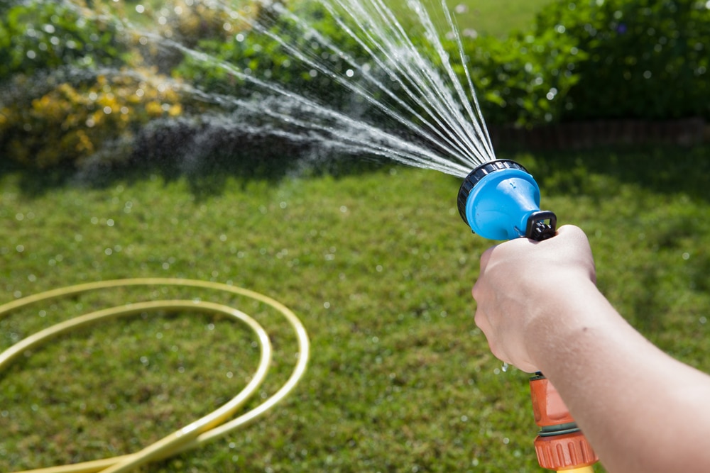 Watering grass with a hose