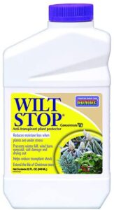 wilt stop boxwood dessicant anti-dessicant to help protect boxwood in the winter