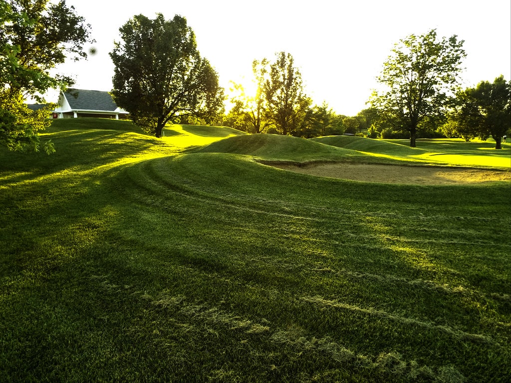 Green lawn that has been mowed to the right height.